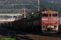 B_ED79_1_15_4098_2006-10-28.jpg (305419 oCg)