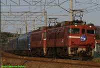 ED79_13_12_3_2006-5-4.jpg (247490 oCg)