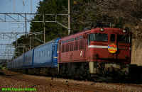ED79_4_3_2006-5-3_1.jpg (249048 oCg)