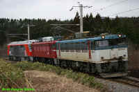 ED79_57_10_9171_2006-4-2_1.jpg (240651 oCg)